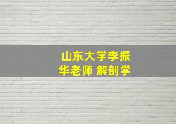 山东大学李振华老师 解剖学